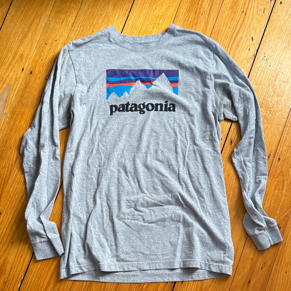 Patagonia Gray Long Sleeve with Mountain Graphic